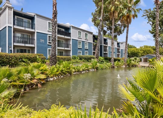 Exterior Community Building and Landscape at Fountains at Point West Apartments in Sacramento, CA.