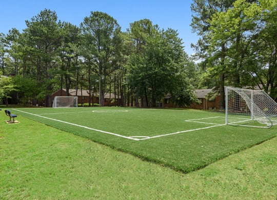 Turf soccer field surrounded by real grass