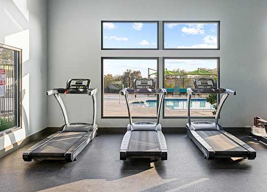 Three treadmills are lined up in a gym with a view of the outdoors through the windows.