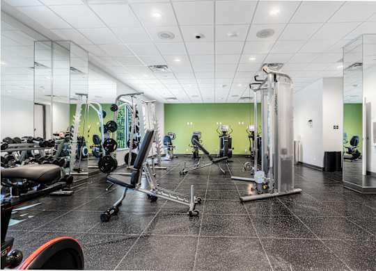 A gym with a variety of equipment including a rowing machine, a bench press, and a squat rack.