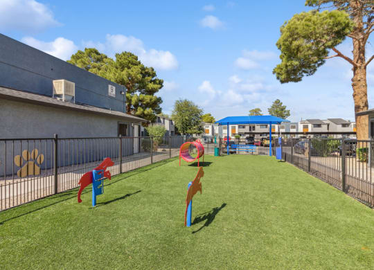 a dog park with agility equipment in a yard next to a building