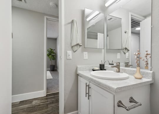 a bathroom with a sink and a mirror
