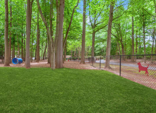 a dog park with green grass and trees
