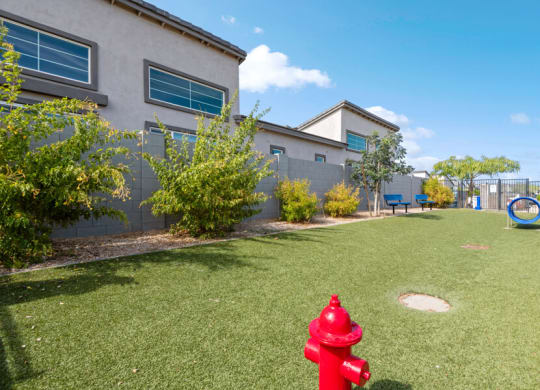 Dog park with a red fire hydrant on a green lawn