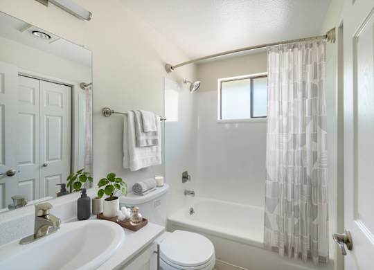 A white bathroom with a toilet, sink, and shower.