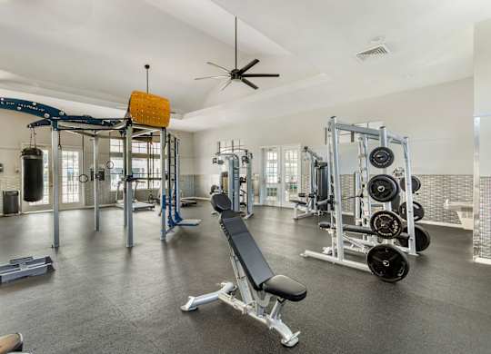 A gym with a variety of equipment including weights and a bench.