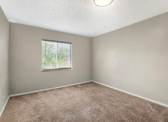 Model that's empty with plush carpet and wide window at Park at 7200 in Jacksonville, Florida.