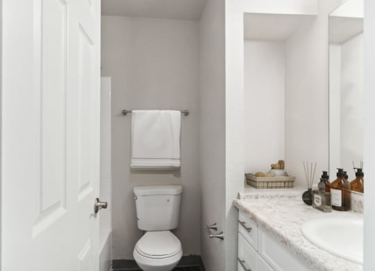 Model apartment bathroom and sink