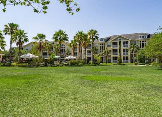 A large grassy area in front of a building with palm trees  at Bridges at Crosstown in Tampa, FL