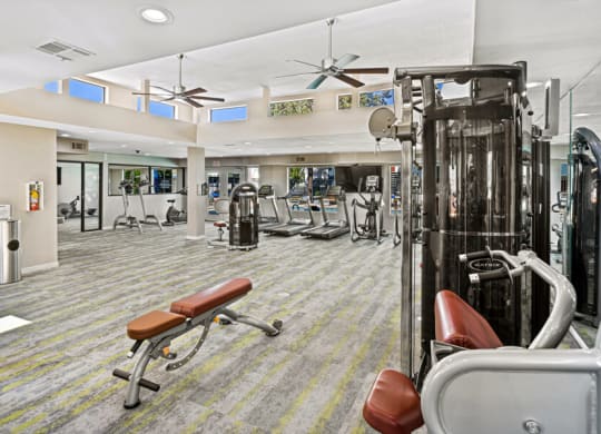 Fitness center with strength training equipment