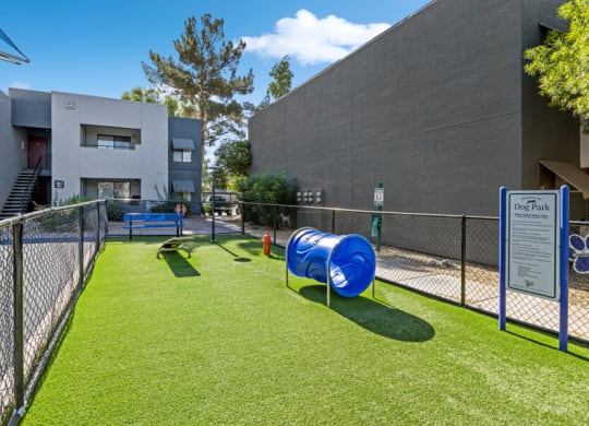 dog park with agility courses
