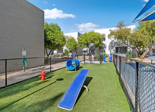 Community dog park