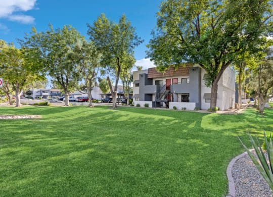 a grassy area with trees and buildings in the background