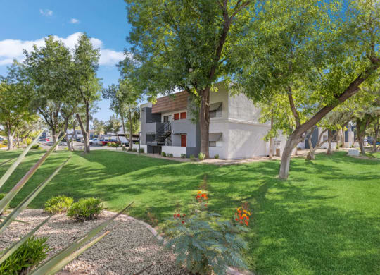 a grassy area with trees and a building in the background