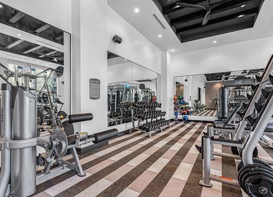 Community Fitness Center with Equipment at Ovation at Galatyn Park Apartments located in Richardson, TX.