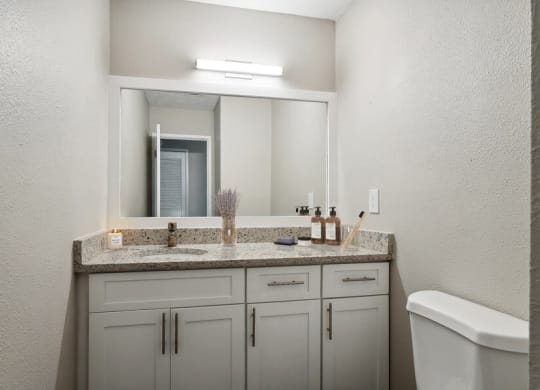 Model apartment bathroom with a sink and a mirror and a toilet