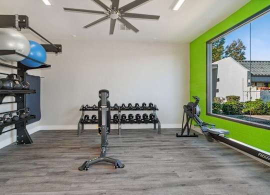 Dog-Friendly Apartments in Camelback East Village, AZ - Arcadia on 49th - A Modern Fitness Center With Dumbbell Racks, Wall-Mounted Storage For Medicine Balls, And A Rowing Machine.