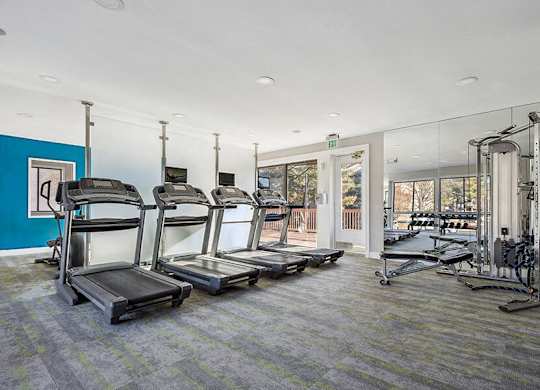 One Bedroom Apartments in Silver Spring, MD - Spring Parc - Modern Fitness Center With Treadmills, Weight Machines, Wall Mirrors, And Large Windows Looking Out To Trees And Patio
