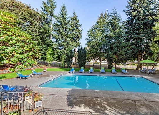 Pool courtyard with lounge chairs and tall pine trees for private feeling