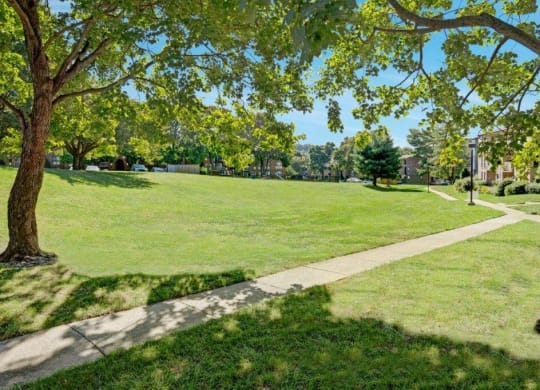 Walking path with large green spaces
