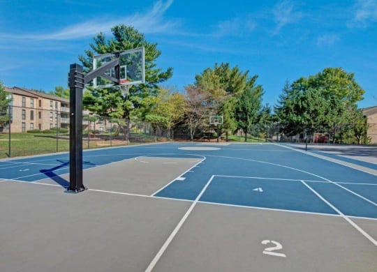 Community sports courts