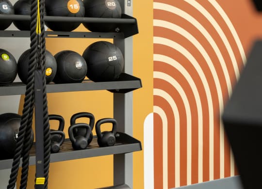 a gym with weights and a wall with a graphic of a wave