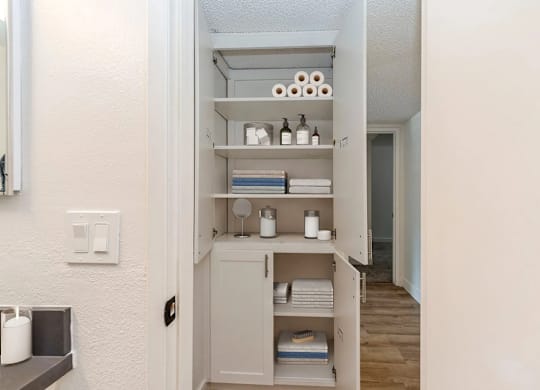 A white bathroom cabinet with toiletries on the shelves.
