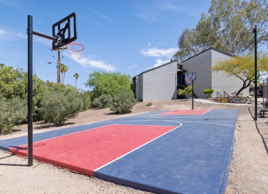 community basketball court