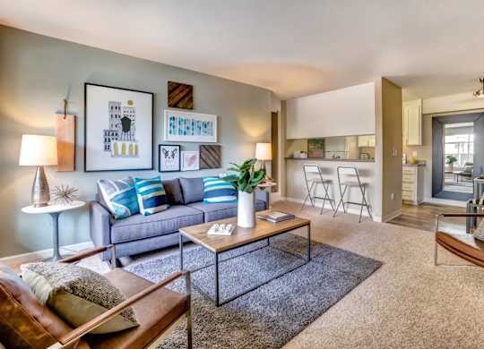 A living room with a grey couch, a coffee table, and a rug.