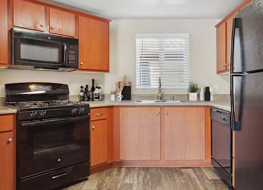 A kitchen with a black refrigerator, black stove, and black oven.