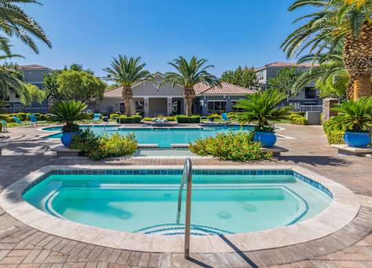 A large outdoor swimming pool surrounded by palm trees and a residential area.
