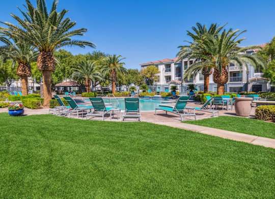 A sunny day at the poolside with palm trees and lounge chairs.