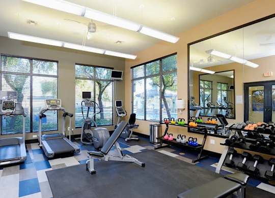 A gym with treadmills, elliptical machines, and weights.