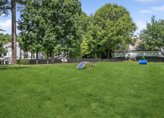 a large grassy area with a hurdle in the middle of it