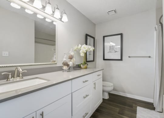 Model bathroom with modern cabinetry