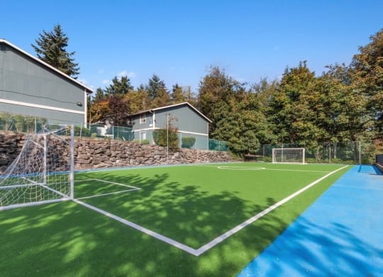Newly renovated turf soccer field with painted lines and goalposts.