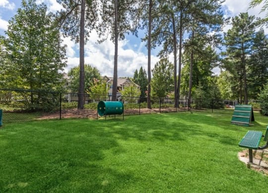 View of fenced-in dog park