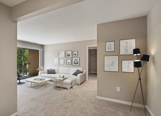 Furnished model living room