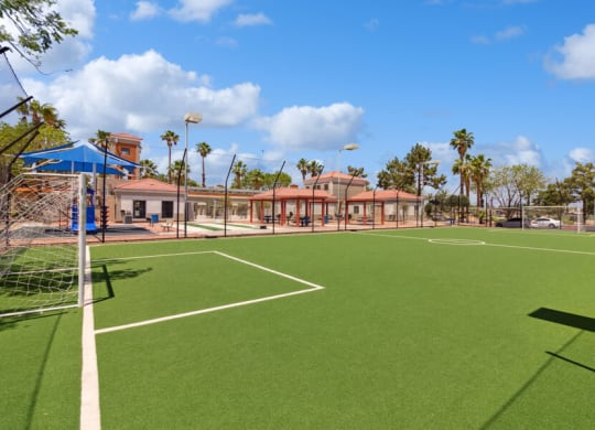 a soccer field with palm trees in the background