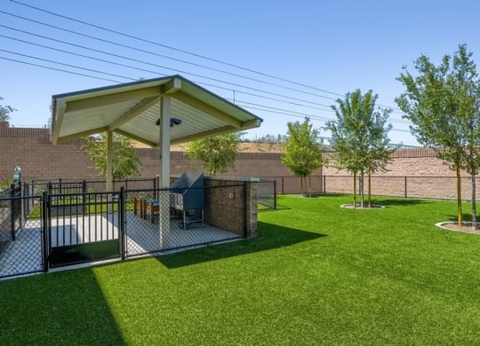 Dog play area with dog washing station