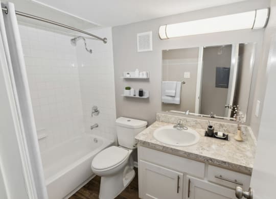 a bathroom with a tub sink and toilet and a mirror