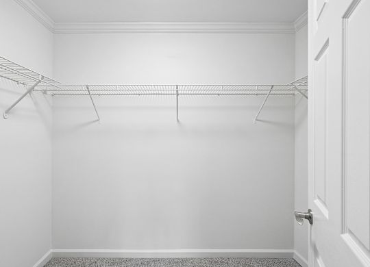 A white closet with a door and a carpet.