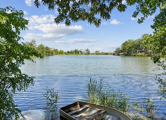 A boat sits on the shore of a lake surrounded by greenery.