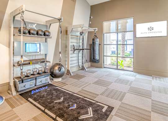Free Weights In Gym at Alys Crossing Apartments, Cypress