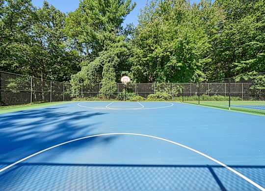 A blue basketball court surrounded by a fence and trees.