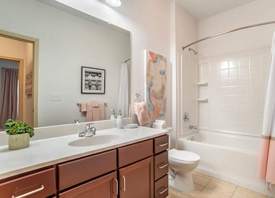 Bathroom at Broadstreet at EastChase Apartments, Montgomery, AL
