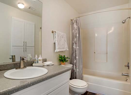 Crosswinds Bathroom at Crosswinds Apartments, Pearl