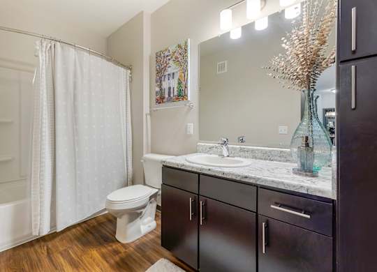 Bathroom at The Villas at Germantown, Tennessee