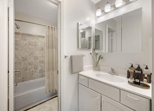 Bathroom With Vanity Lights at The Apartments at Hunters Glen, Maryland, 21702
