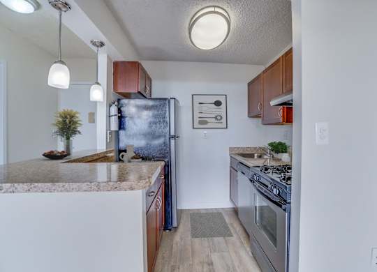 Living and kitchen at Seminary Towers, Alexandria, VA
